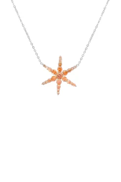 Fashion Collar Estrella Marrón Collares Con Colgante